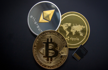 Blockchain Professional (CBP)